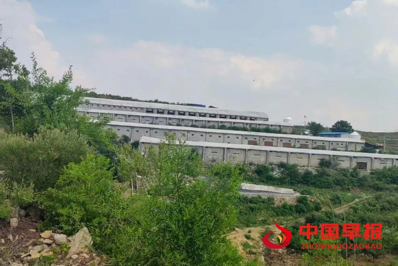 1753115335739556.jpg 640 (1)_副本.jpg