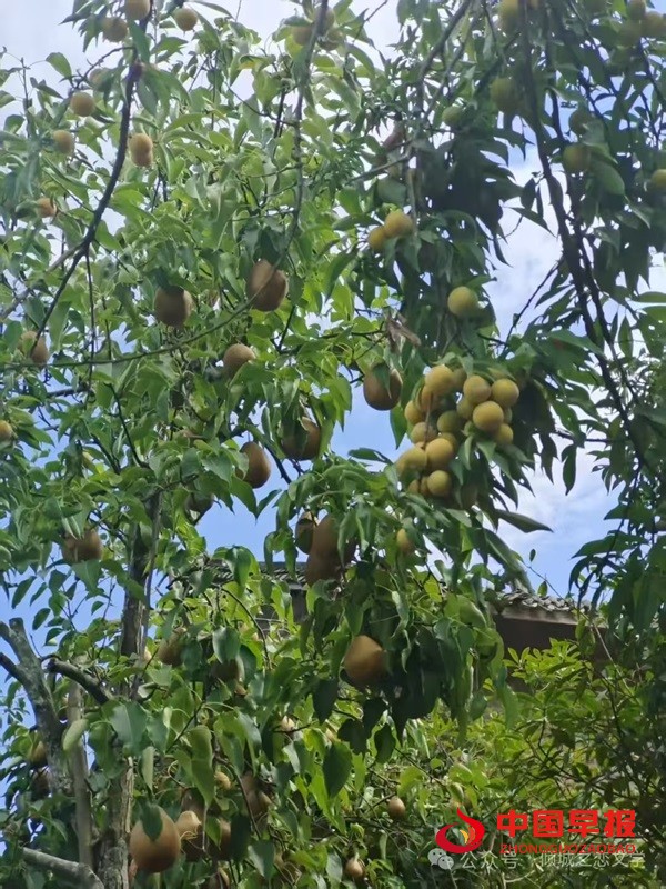 1753143357120846.jpg 微信图片_20250722074339.jpg