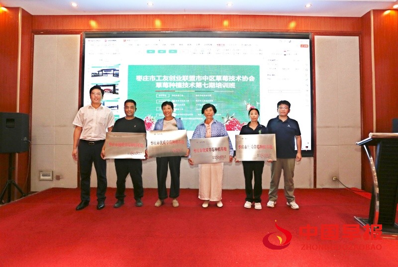 1753365081285684.jpg 1_副本.jpg