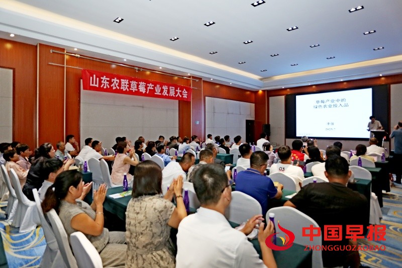 1753365102199872.jpg 3_副本.jpg