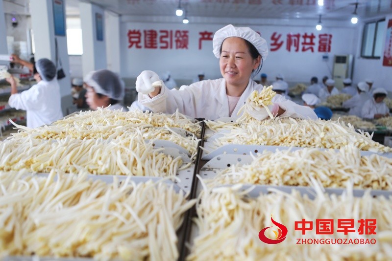 1753902844138471.jpg 微信图片_20250731030928.jpg