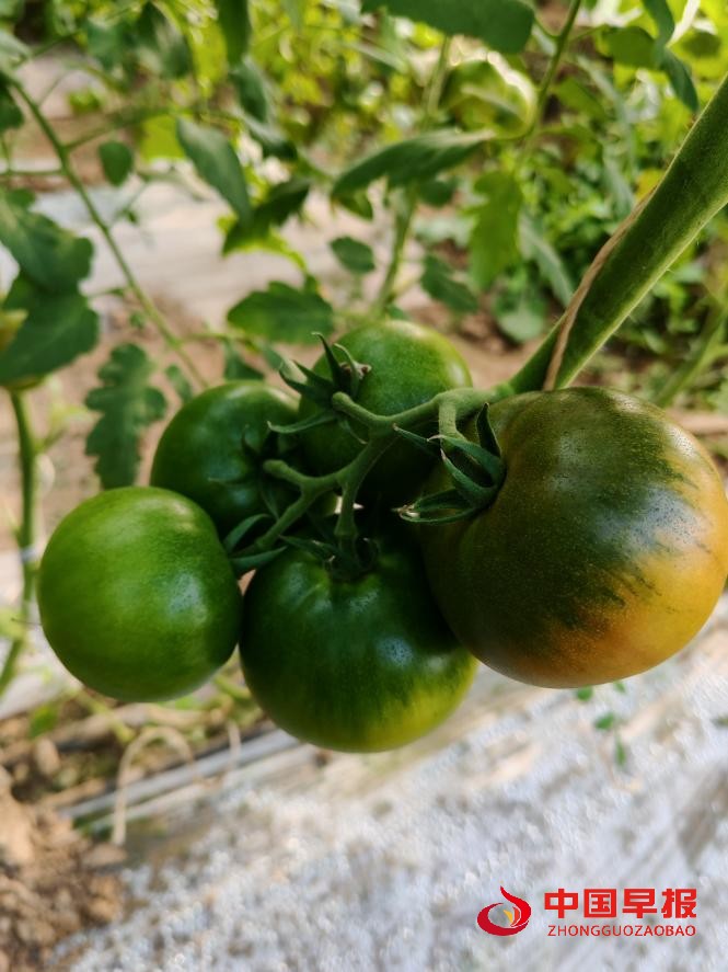 1755566181176647.jpg 1755566181176647.jpg