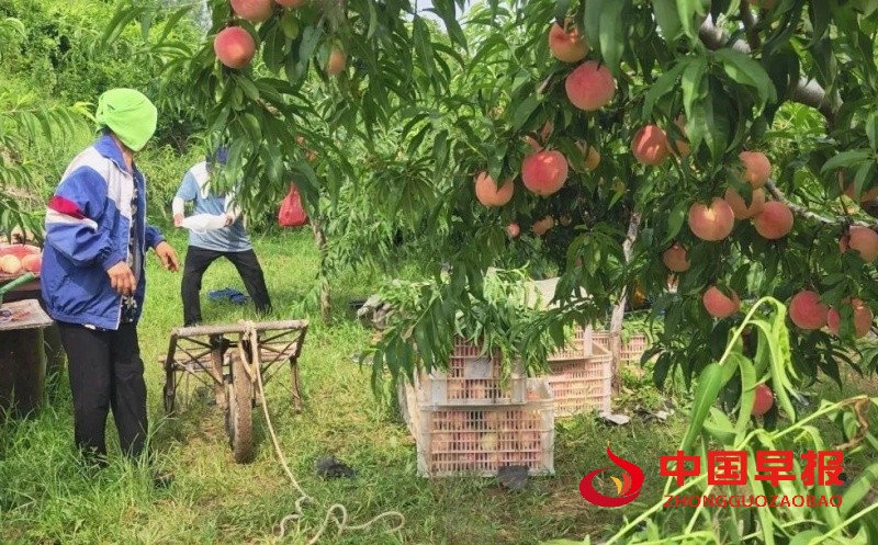 1755971035683162.jpg 640 (1)_副本_副本.jpg