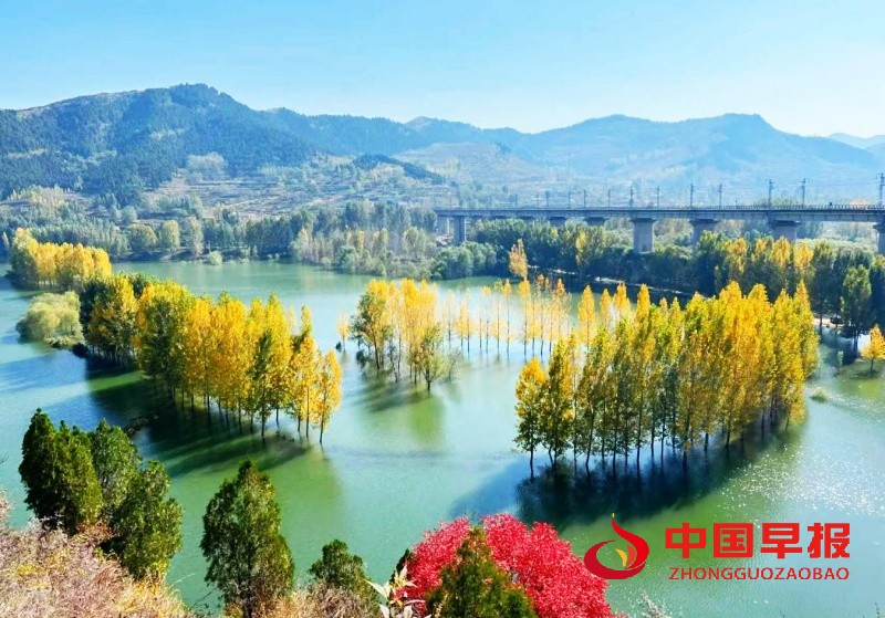 1756400204659680.jpg 1_副本.jpg