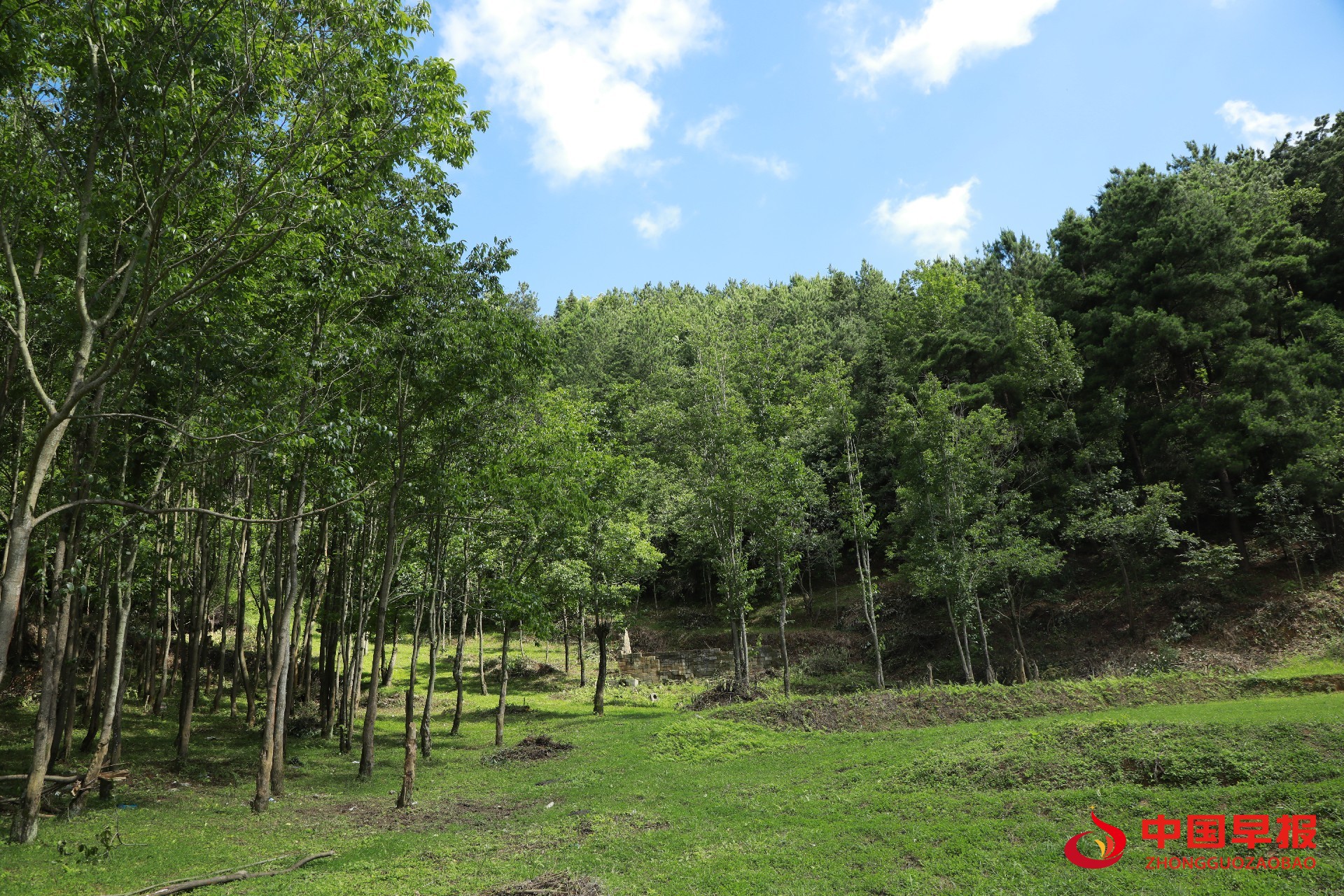 1756535967105450.jpg 1756535967105450.jpg