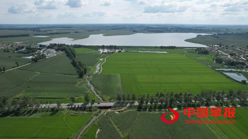 农安县三岗镇永远村：兵支书领航振兴路，特色物产誉乡邻(图4)