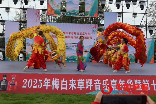 定远县：梅白来草坪音乐嘉年华暨第十二届定远池河梅白鱼文化旅游节盛大开幕(图1)