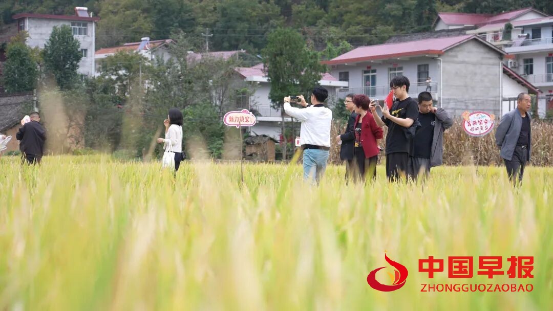 1760169702632254.jpg 图片02.jpg