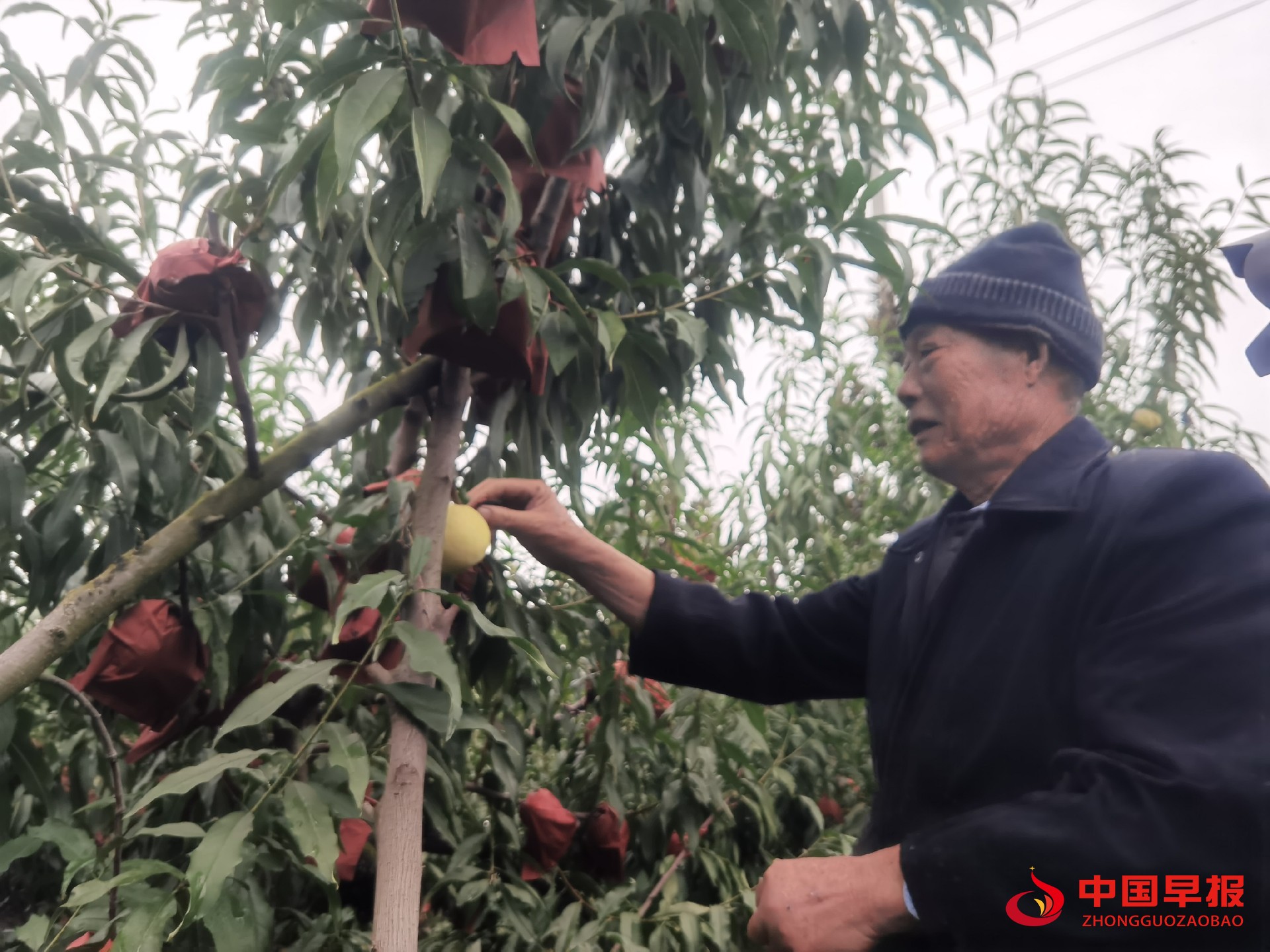 1760413745439929.jpg 1760413745439929.jpg