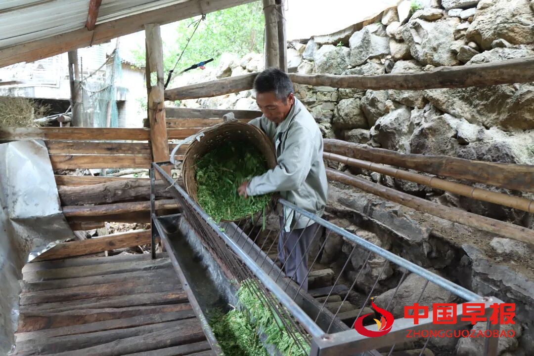 1760600930118304.jpg 图片04.jpg