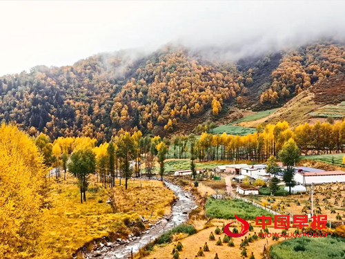 青海海东延续“绿色接力” 聚力绘就河湟谷地生态画卷(图2)