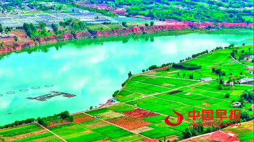 青海海东延续“绿色接力” 聚力绘就河湟谷地生态画卷(图3)