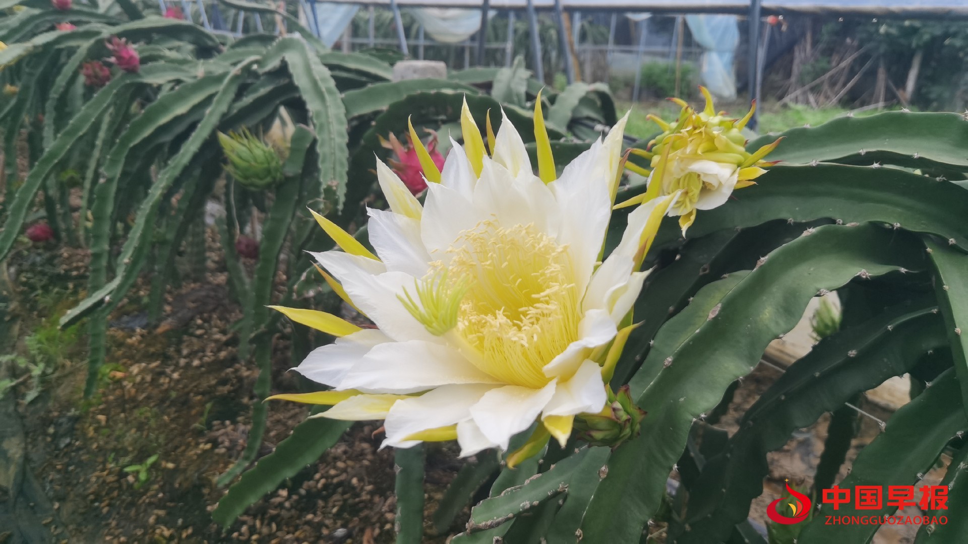 1760670293175654.jpg 1760670293175654.jpg