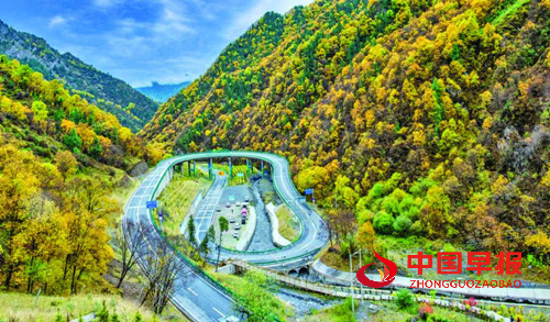 青海海东：“文旅 +” 多元融合激活发展新动能 绘就富民兴市新图景(图6)