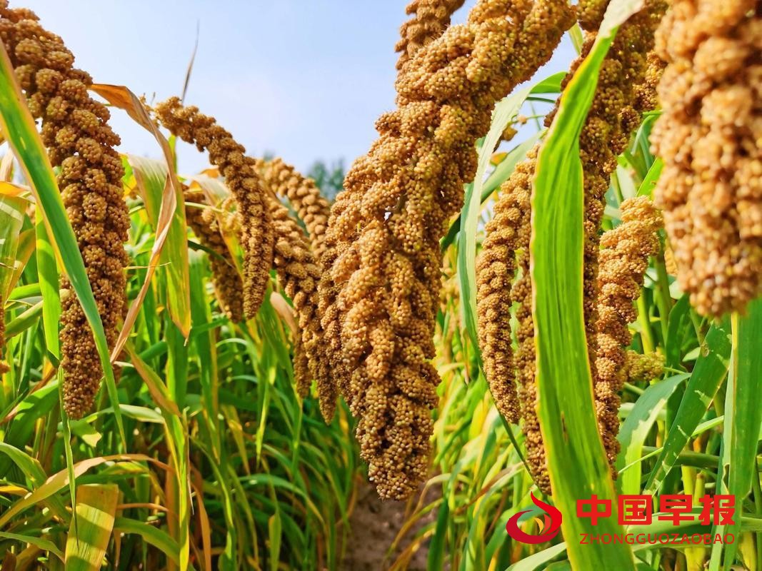 1761013137493278.jpg 图片02.jpg