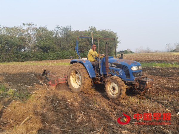 1762480536112541.jpg 黄龙秋播现场.jpg