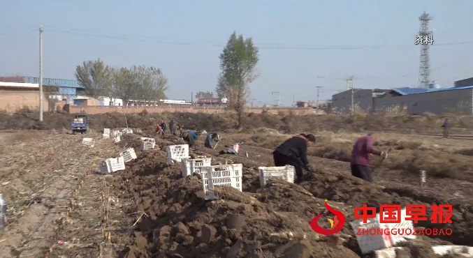 1766066517635597.png 微信图片_20251218214924.png