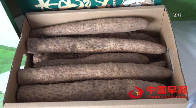 1766066544444349.png 微信图片_20251218215057.png