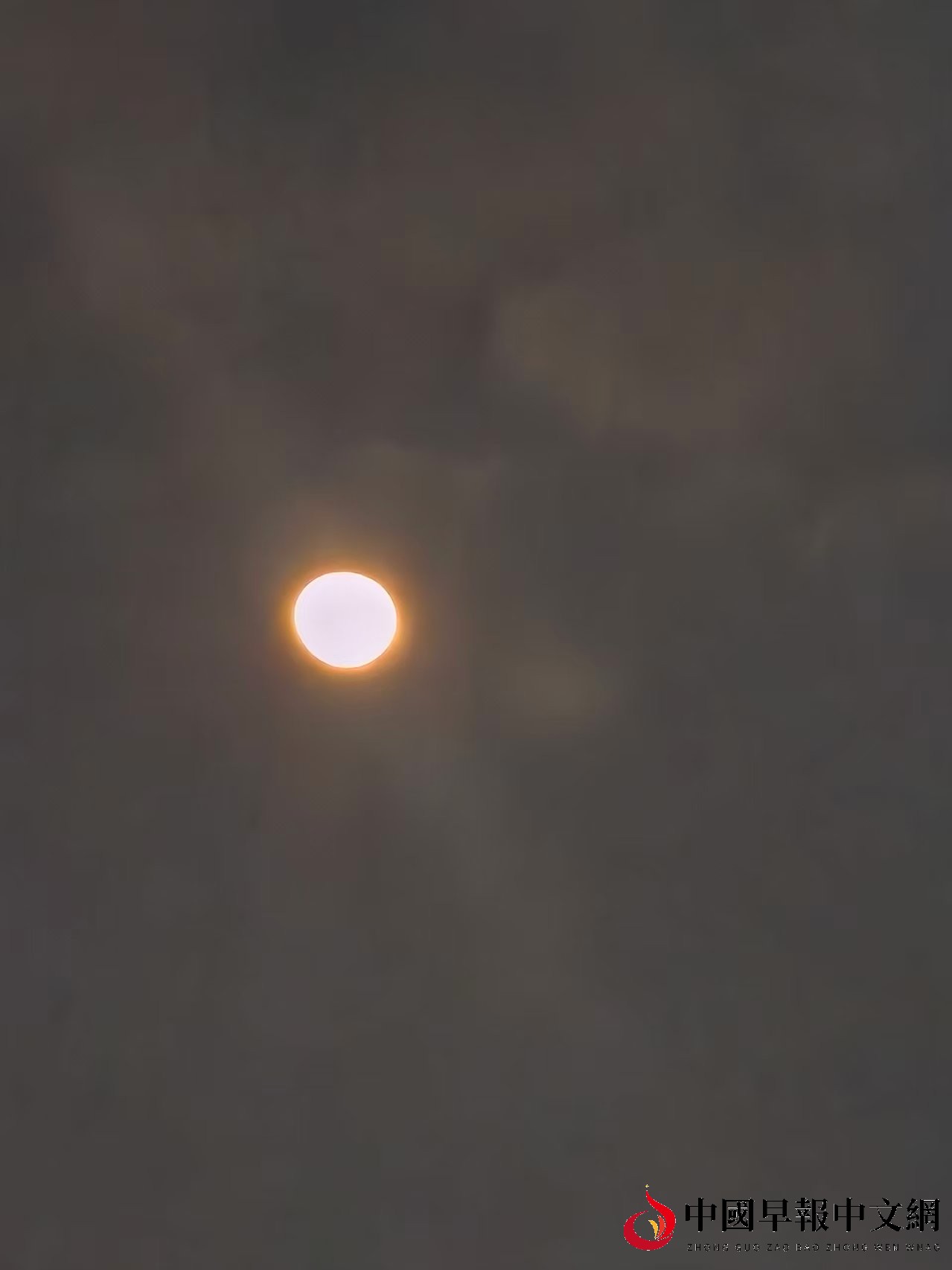 1767677089773597.jpg 微信图片_20260106132234.jpg