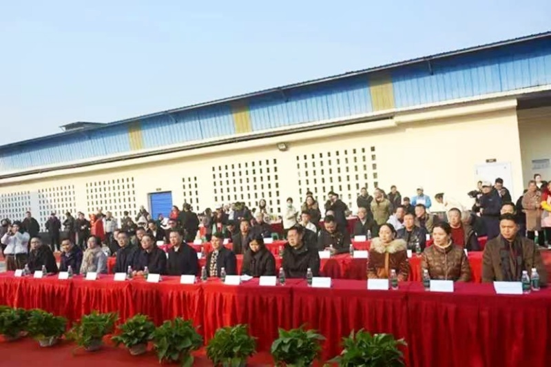 1768272195194010.jpg 5_副本.jpg