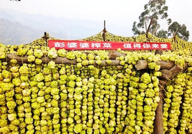 1768272219178458.jpg 8_副本.jpg