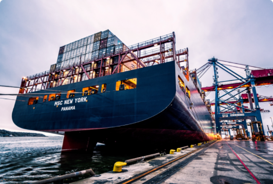 1768618360128358.png 微信图片_20260117103219_3931_10_副本.png